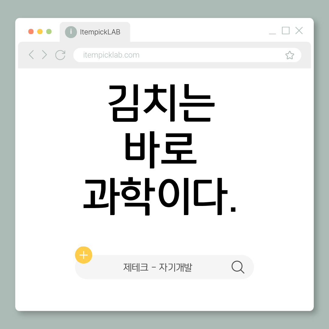 김치가 단순한 반찬이 아닌 이유 — 발효의 과학