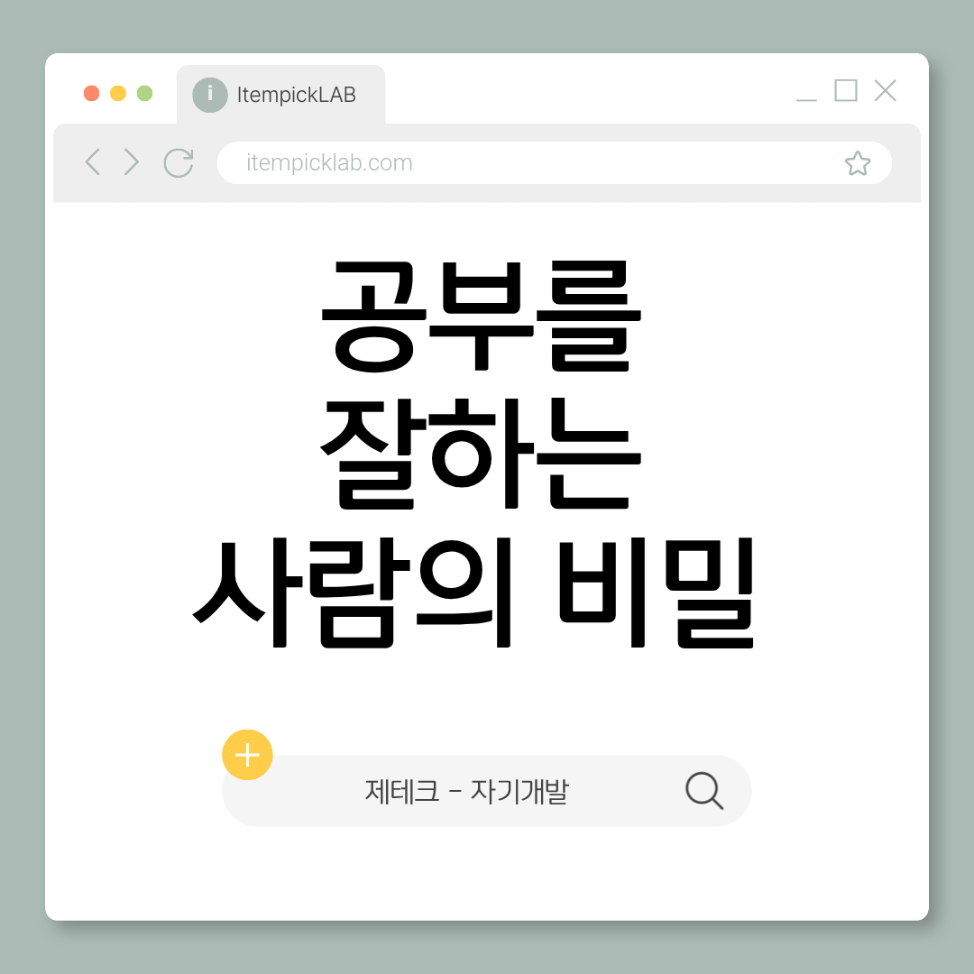 메타인지란 무엇인가 — 공부를 잘하는 사람의 비밀